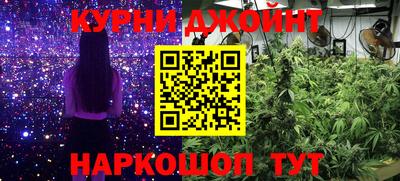 метадон Новодвинск