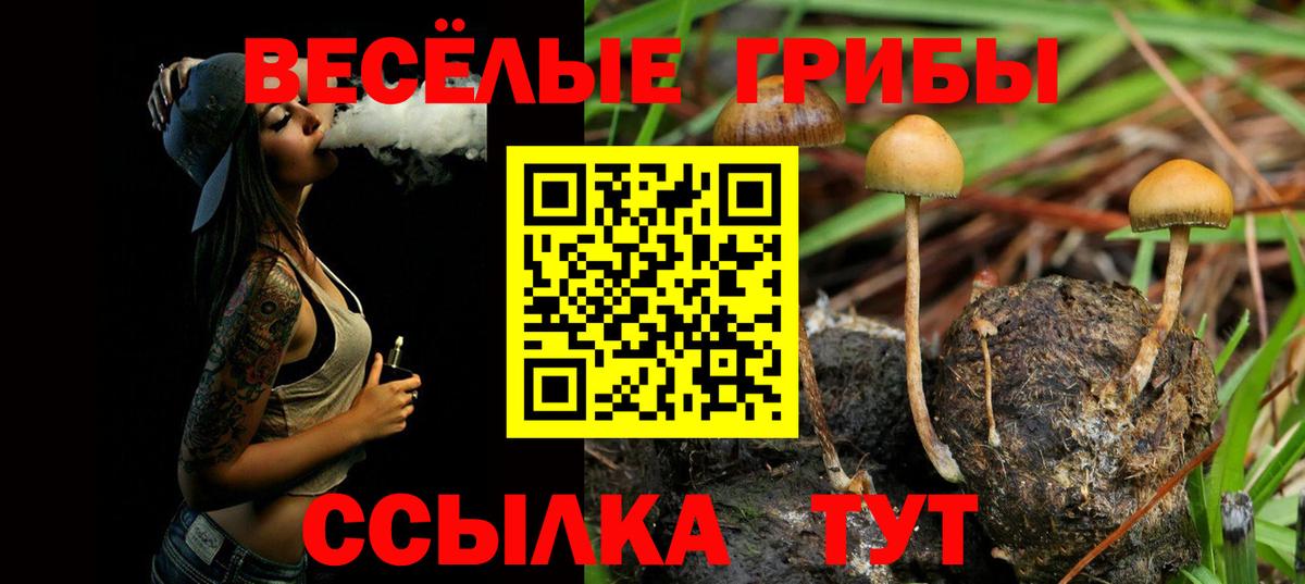 Троицк  Галлюциногенные грибы ЛСД  Вход с VPN  Галлюциногенные грибы Magic Shrooms 