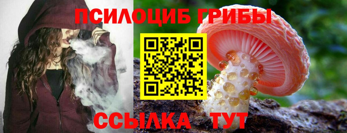 Галлюциногенные грибы Cubensis Троицк
